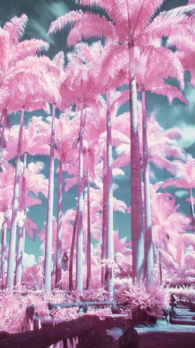 深耕治沙一线近40年